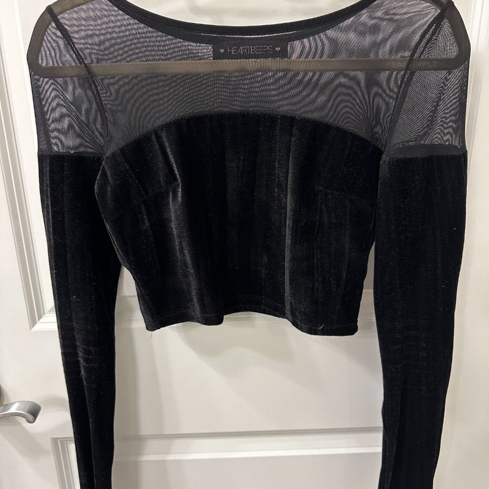 Black Velvet / Mesh Long Sleeve Crop Top